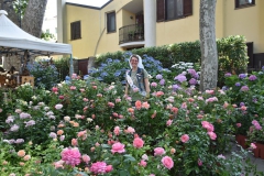 DSC_3812_risultato