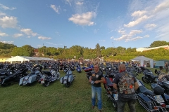 Black Scorpions