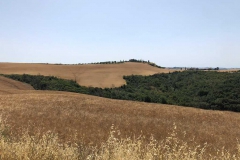 IMG-20210628-WA0017_risultato