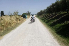 IMG-20210629-WA0001_risultato
