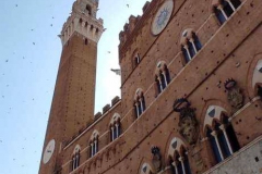 IMG-20210630-WA0028_risultato