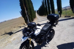 IMG-20210630-WA0054_risultato