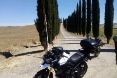 IMG-20210630-WA0061_risultato
