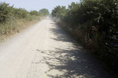 IMG-20210630-WA0066_risultato