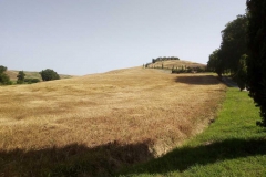 IMG-20210630-WA0069_risultato