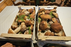 IMG-20251027-WA0028_risultato