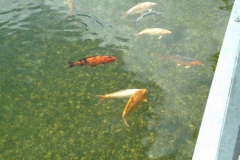 Lago-Sergio-1-Small