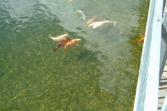 Lago-Sergio-2-Small