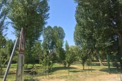 IMG-20210713-WA0015_risultato