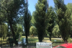 IMG-20210713-WA0016_risultato