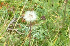 Passo-delle-Erbe-Sergio-22-Small
