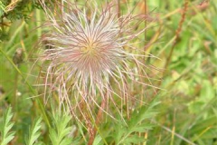 Passo-delle-Erbe-Sergio-23-Small