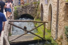 IMG-20250824-WA0033_risultato