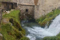 IMG-20250824-WA0034_risultato