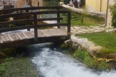 IMG-20250824-WA0037_risultato