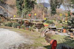 IMG-20220206-WA0036_risultato