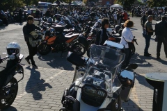 IMG-24b85126eda2d7d8785dc1f70339f8b9-V-1_risultato