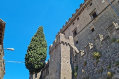 IMG-20220612-WA0037_risultato